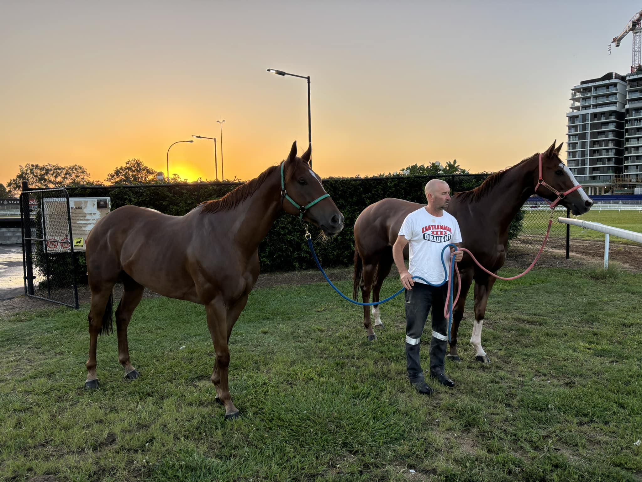 David Murphy Racing - The chestnut mare dream team 😍 We are very proud ...