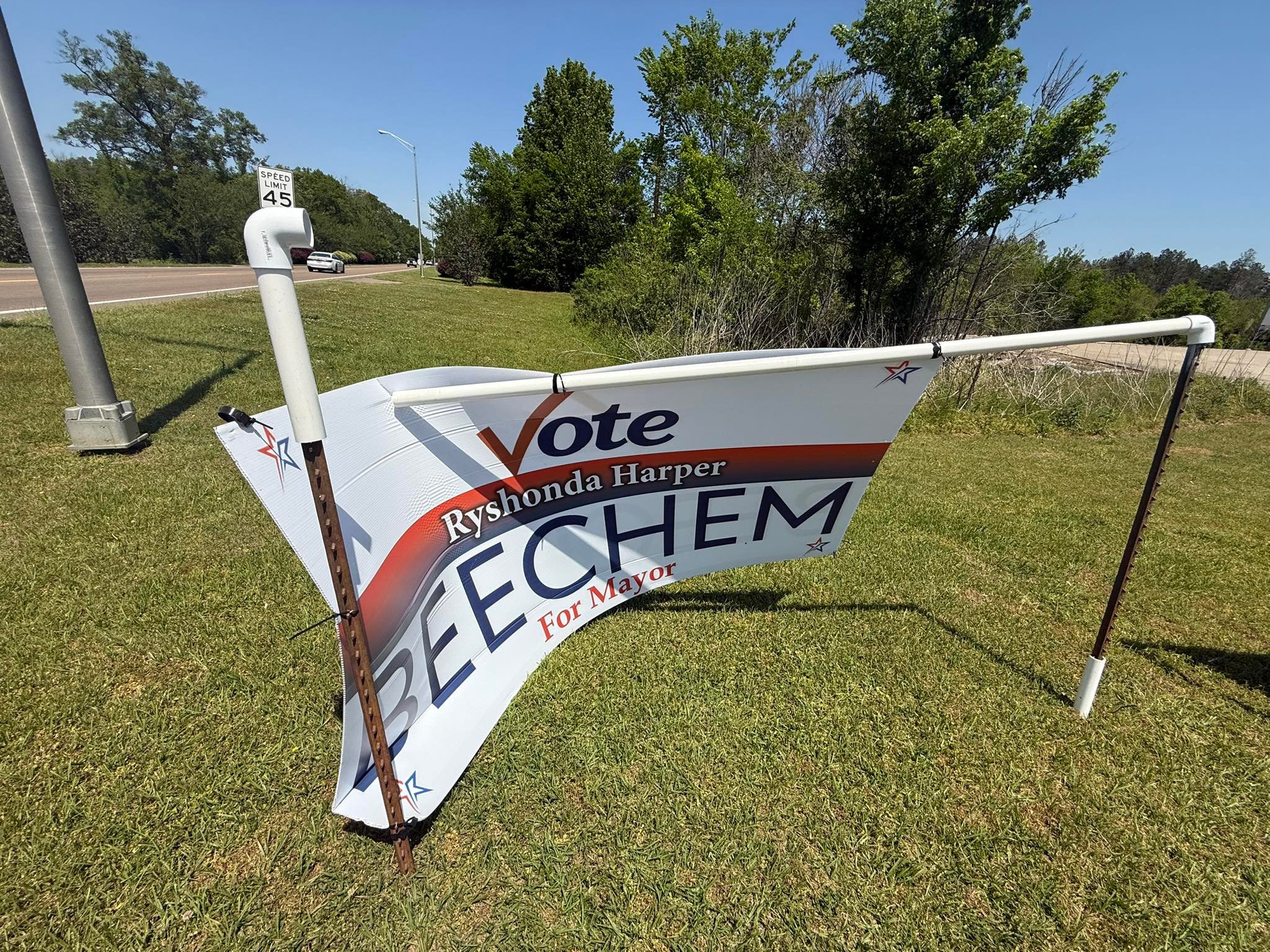 Ryshonda Harper Beechem for Mayor of the Town of Pelahatchie added a ...