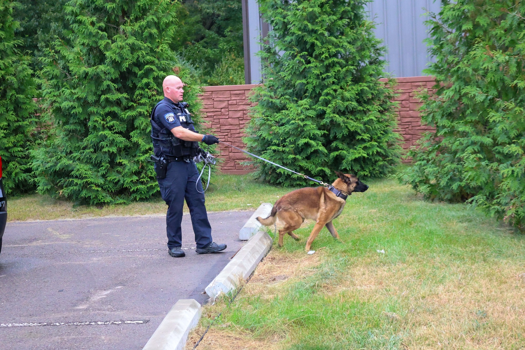 Shelby Township Police... - Shelby Township Police Department