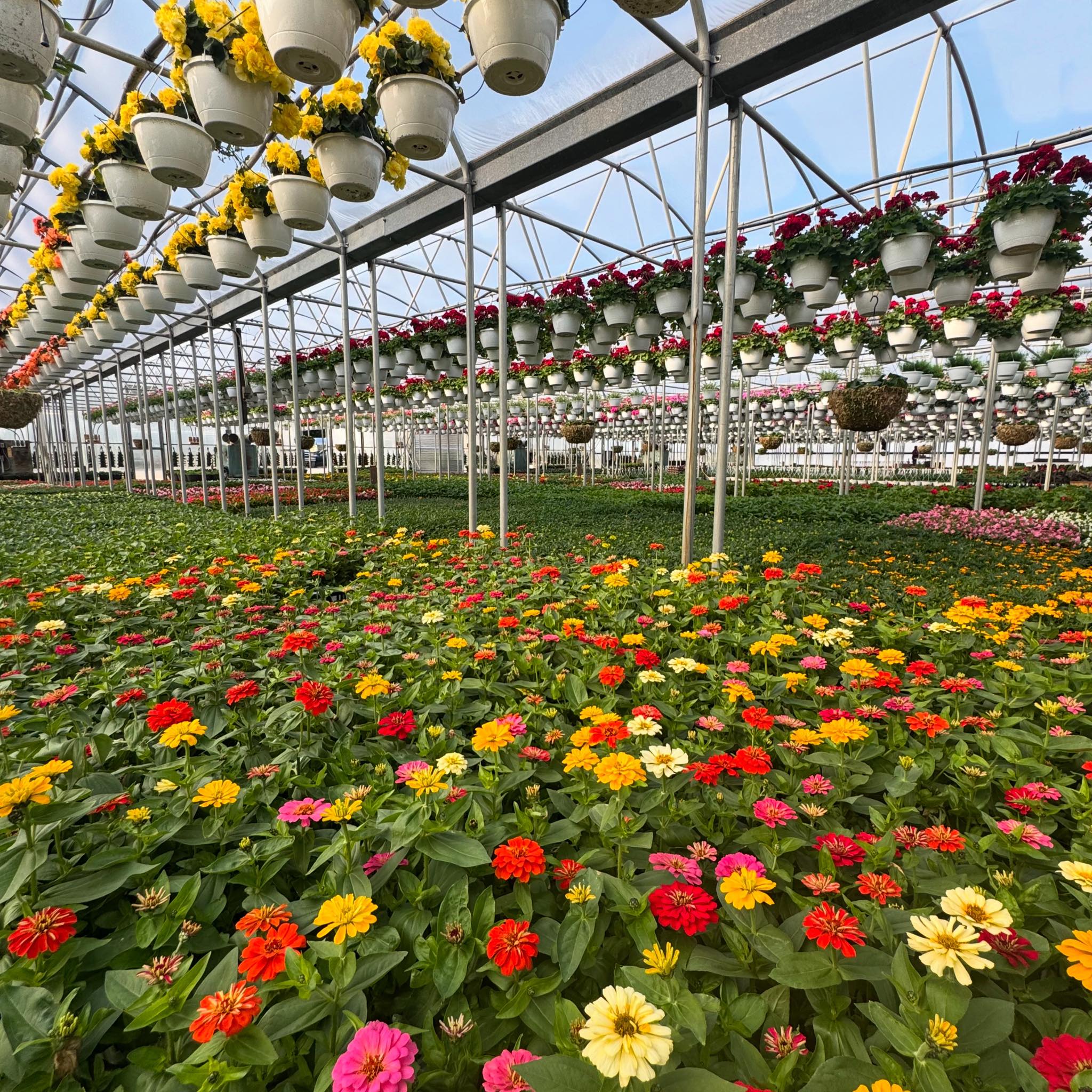 Andrews Family Farm | Wading River NY