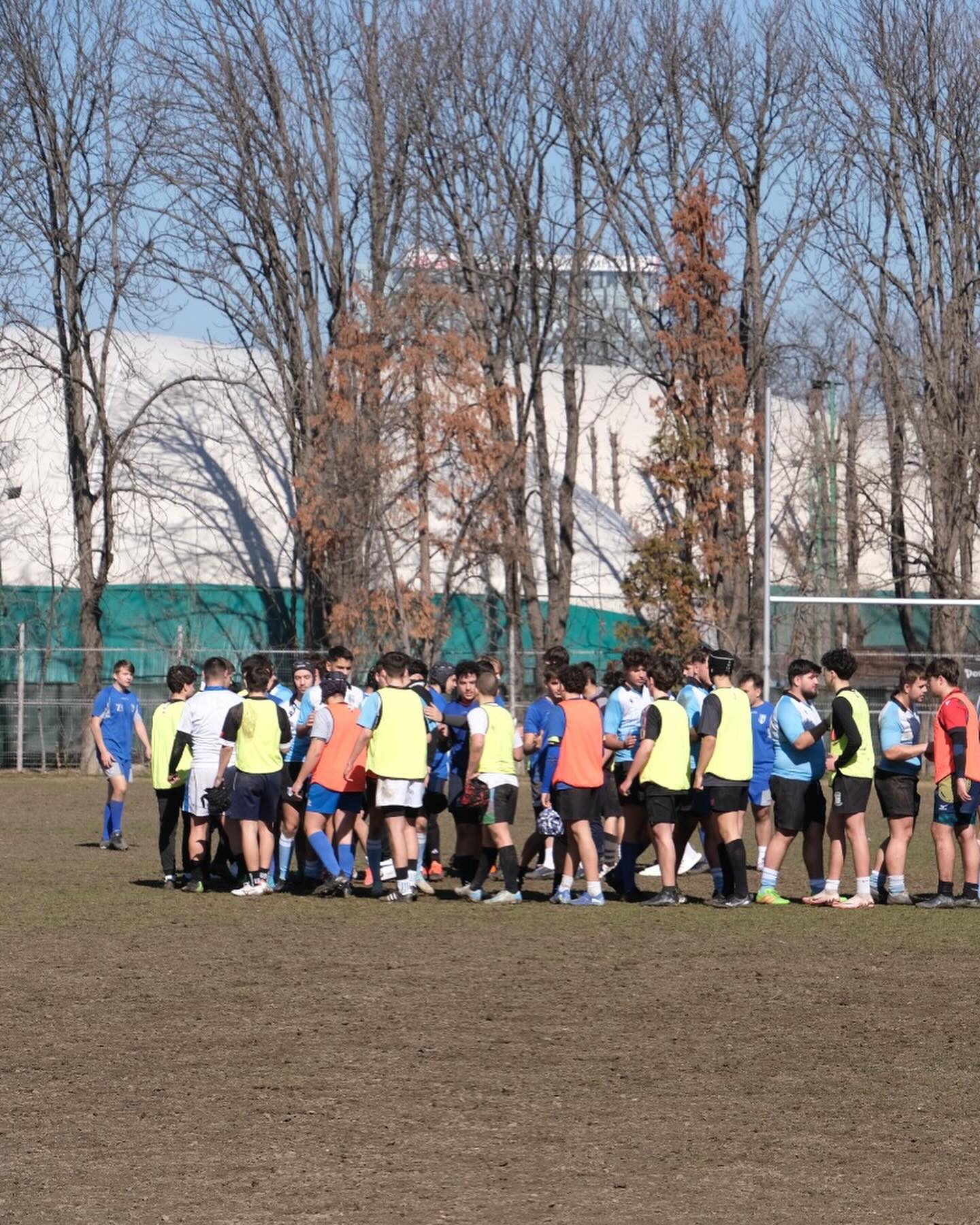 Rugby Soimii Bucuresti