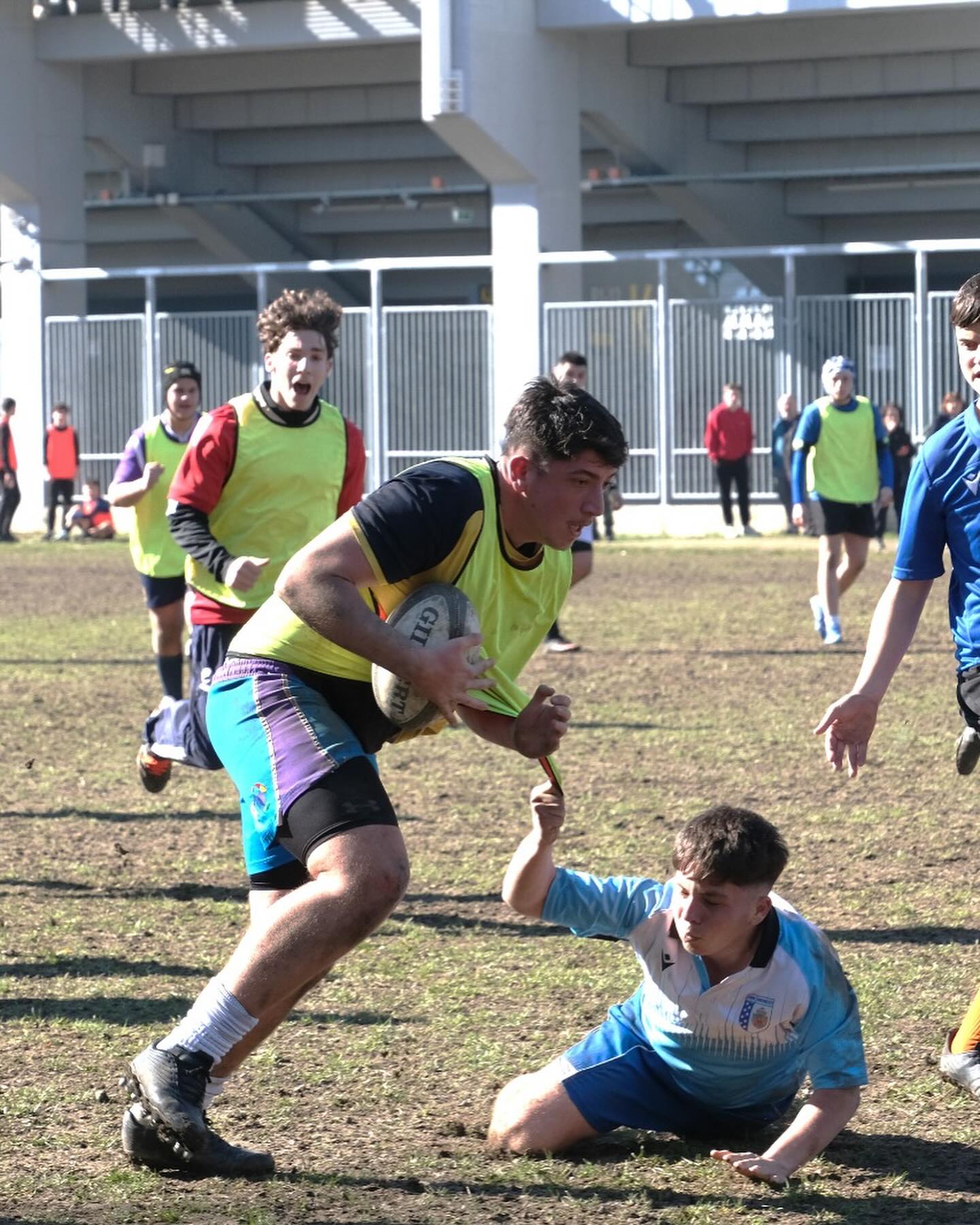 Rugby Soimii Bucuresti