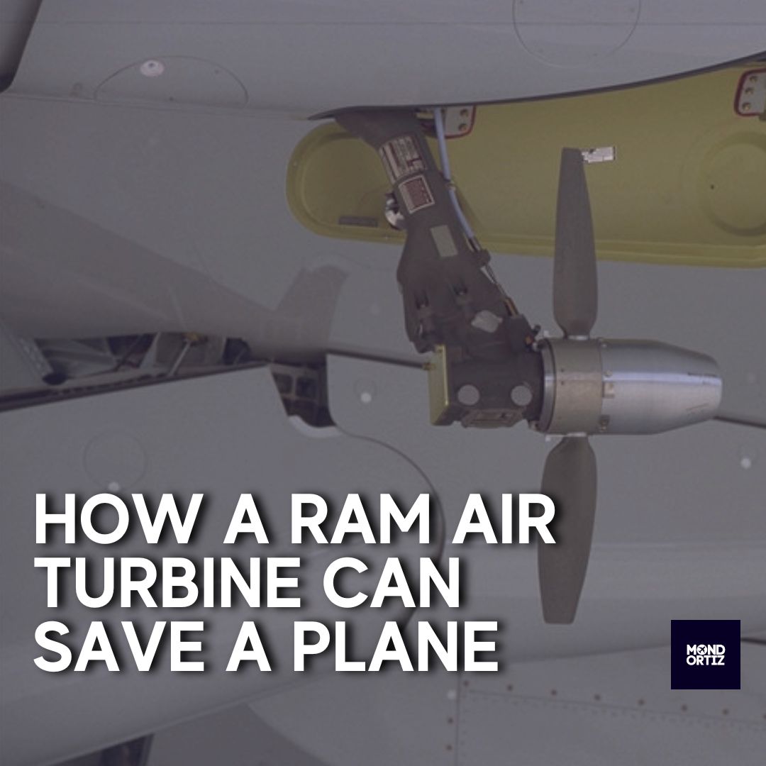 Mond Ortiz - THE RAT THAT CAN SAVE A PLANE In case an... | Facebook