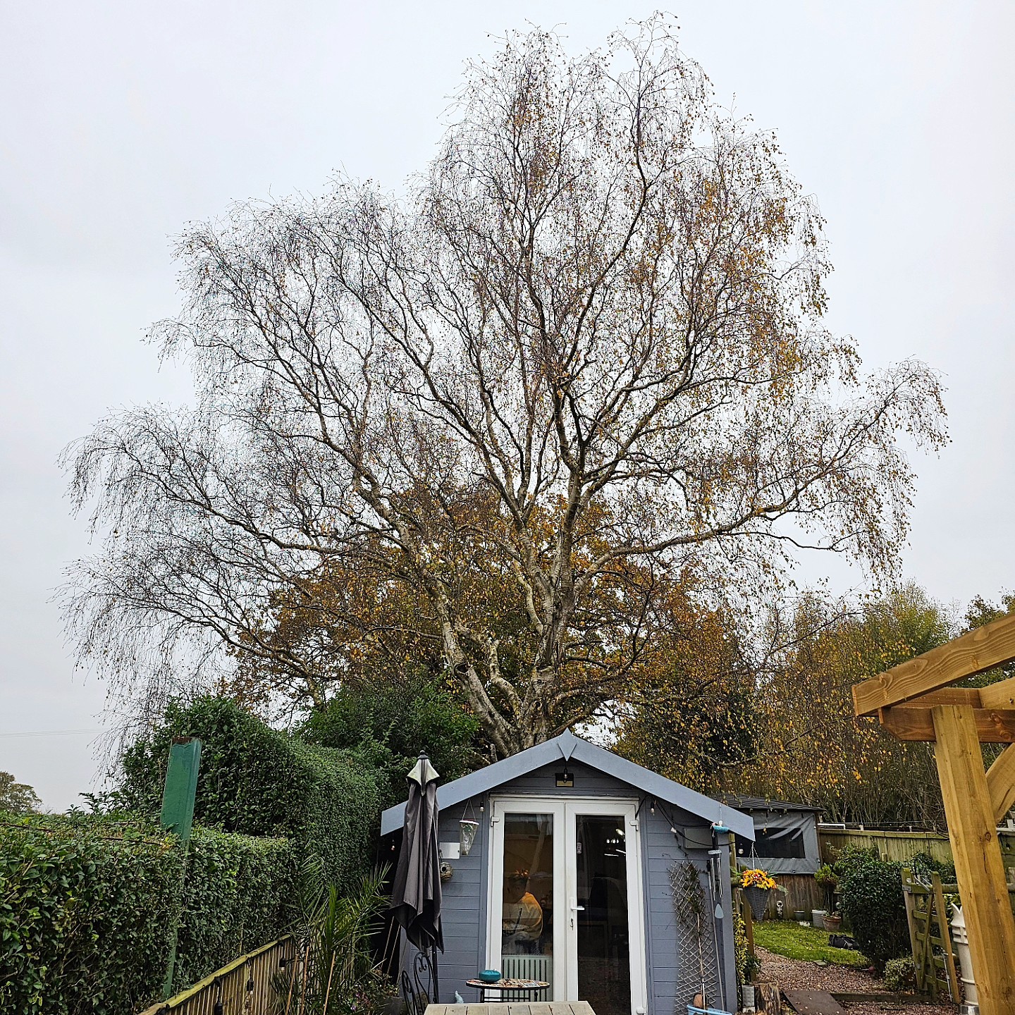 Harrison Tree Services