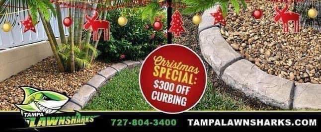 Tampa Lawn Sharks | Saint Petersburg FL