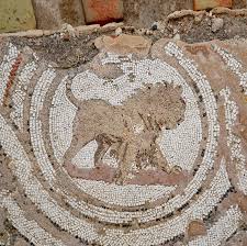 Visitanos-Lamta - 🇹🇳 Lamta Archaeological Museum 🇹🇳