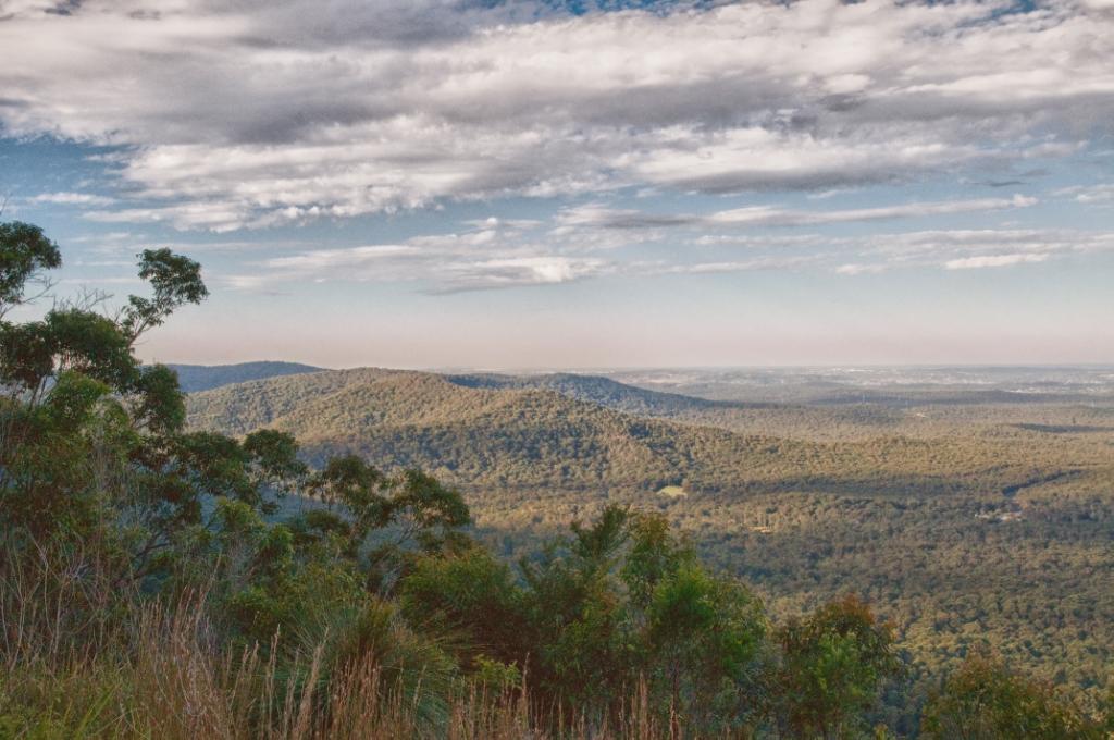 Visit NSW State Forests added a... - Visit NSW State Forests