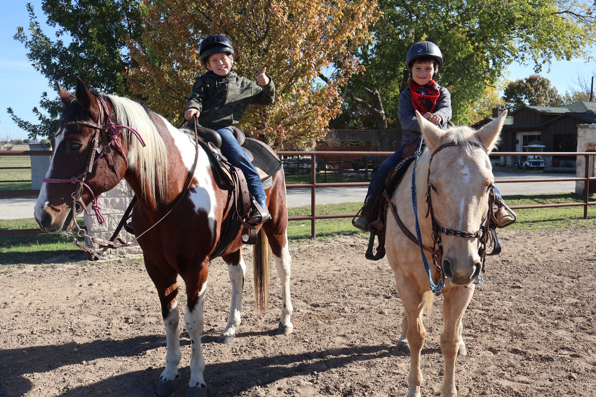 Benbrook Stables Horse Camp | Benbrook TX