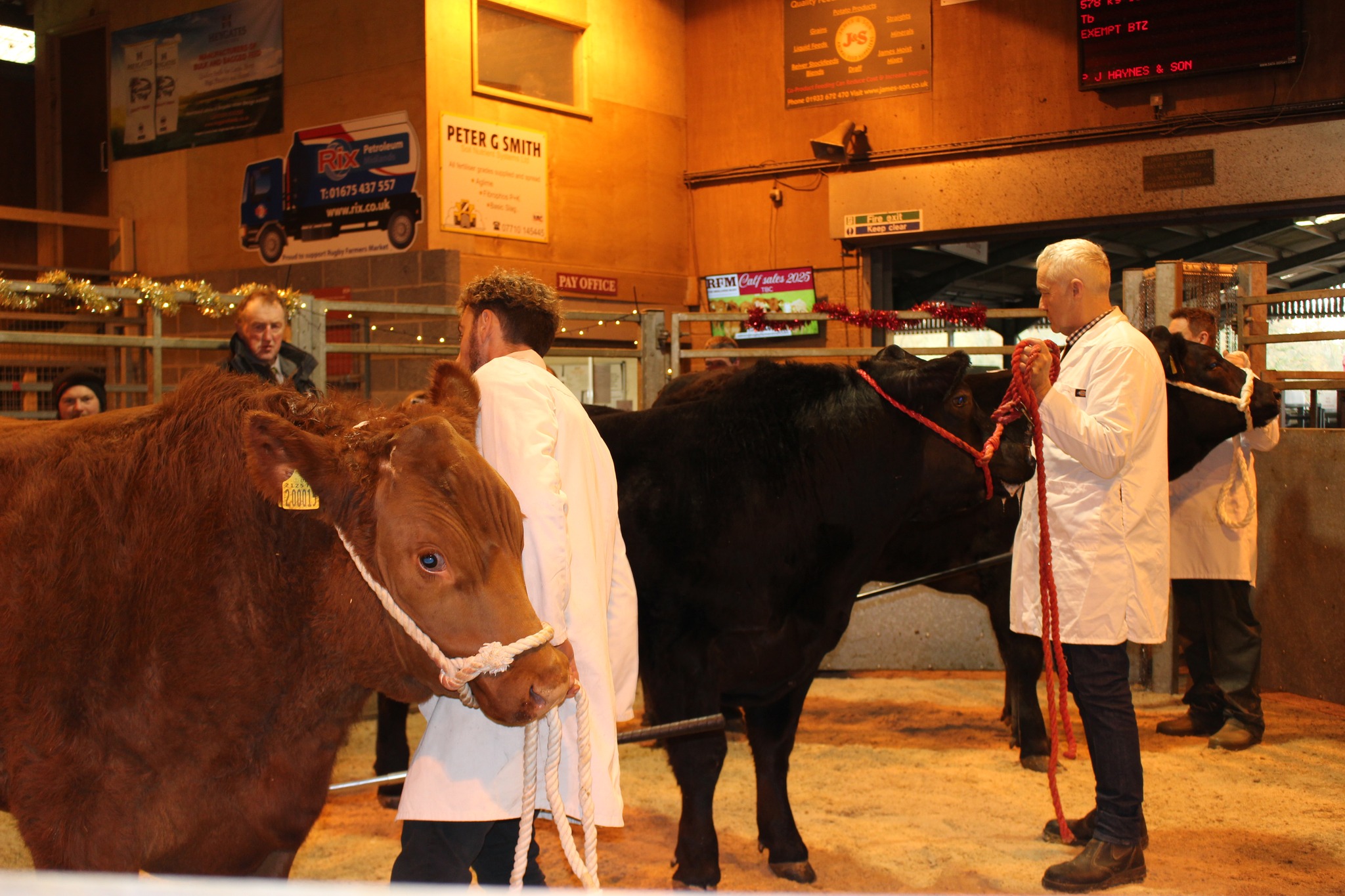 Rugby Primestock Society Christmas Show & Sale
