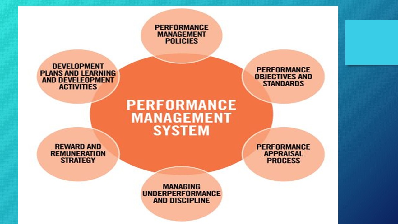 JTW - THE PERFORMANCE MANAGEMENT CIRCLE. Each component of your ...