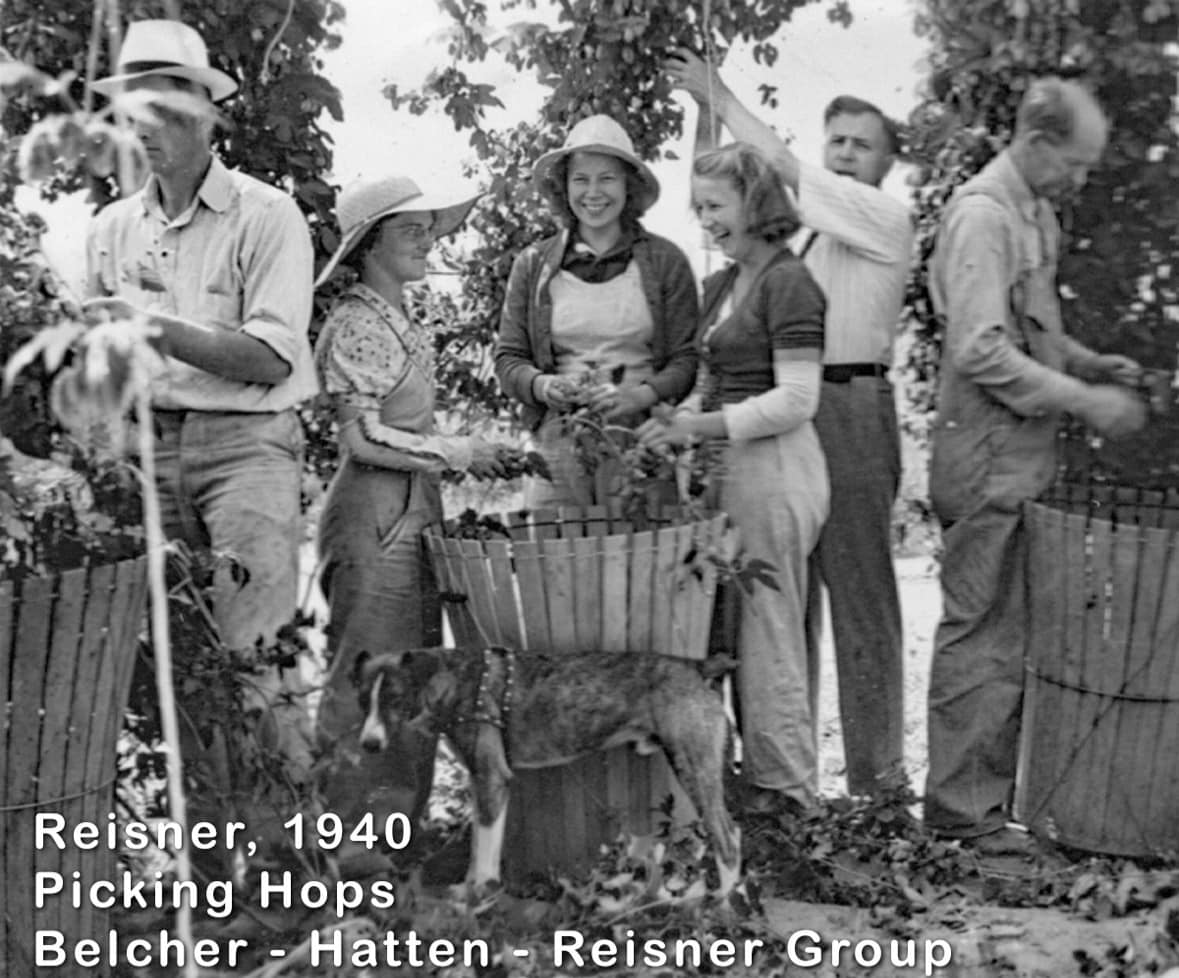 More older photos of the past hop... - Carpenter Ranches, LLC | Facebook