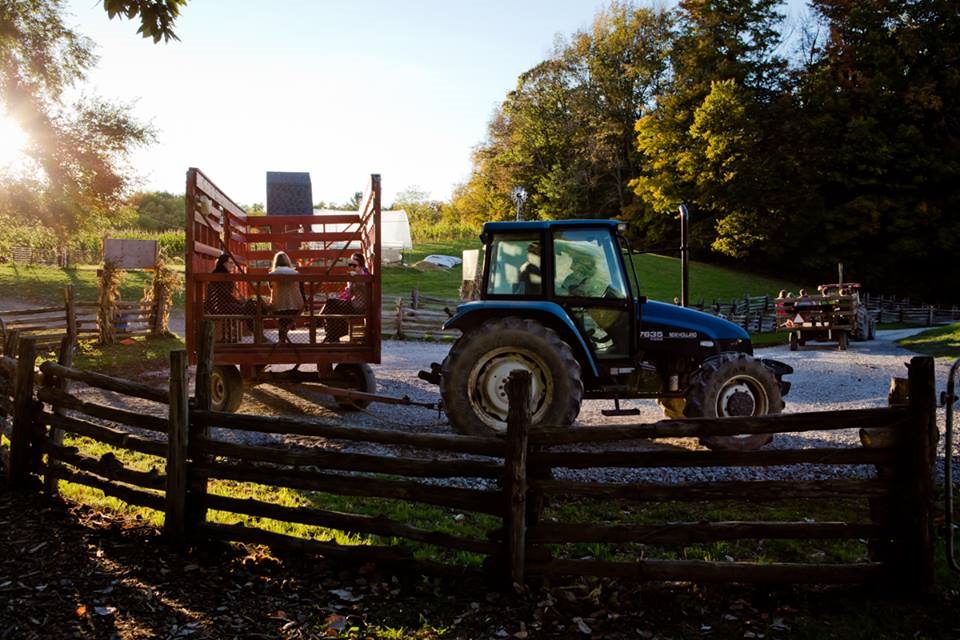 Howells Adventure Farm | Fonthill ON