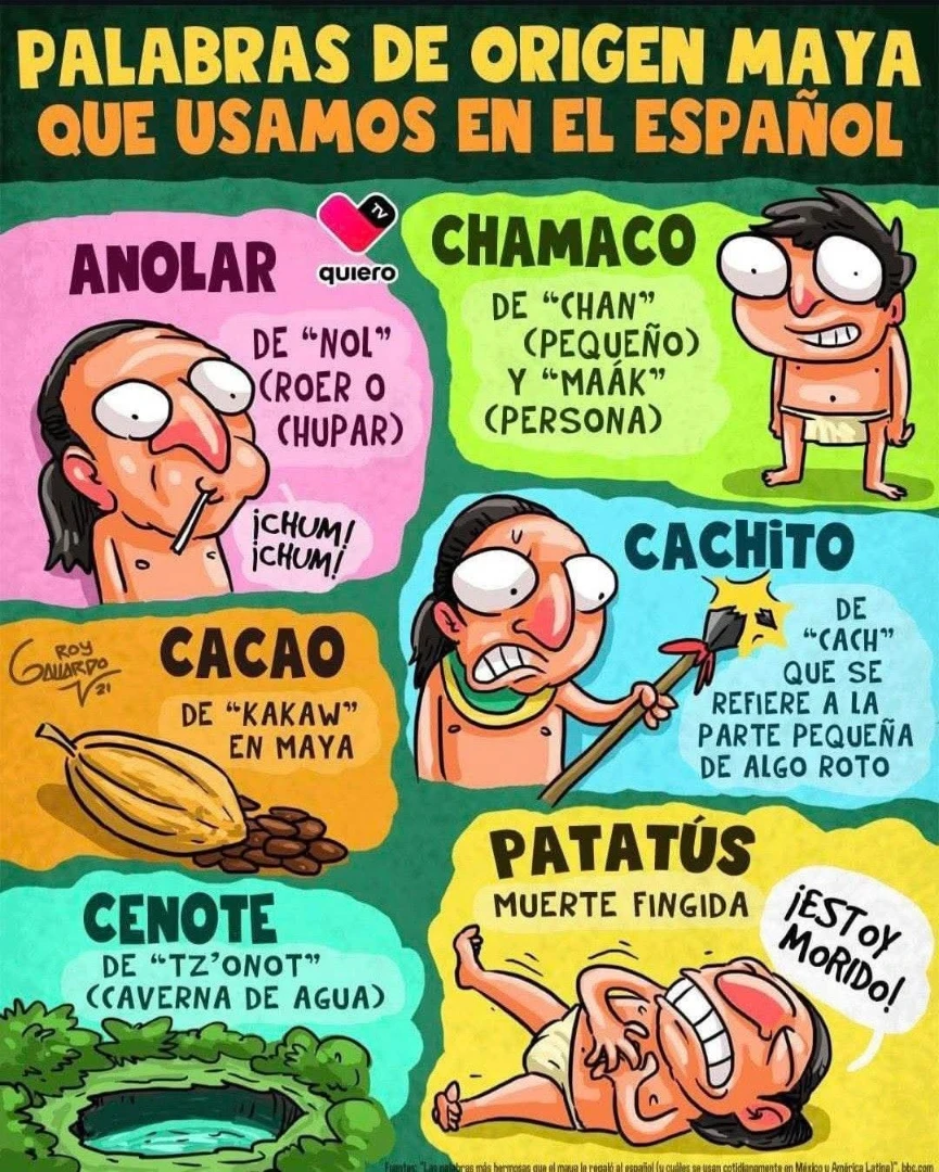 Etimologías y más | Facebook