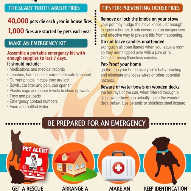 Reli Insurance | Saint Petersburg FL