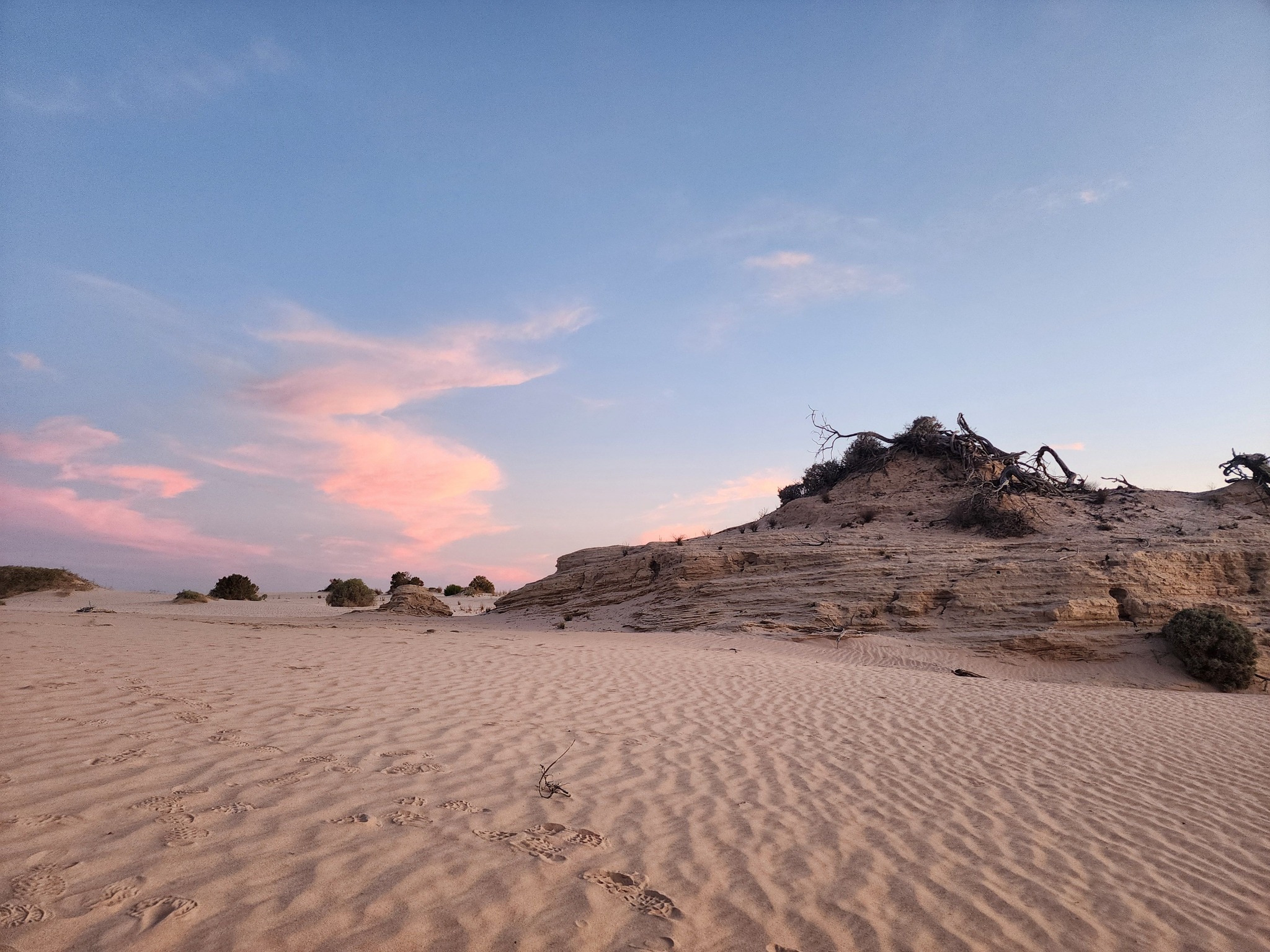 Willandra Lakes Region World Heritage News & Updates