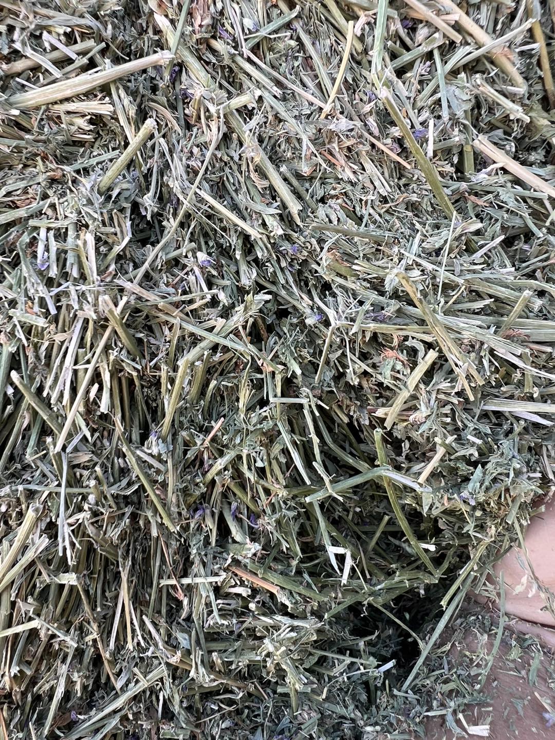 Double R Hay & Feed | Golden Valley AZ