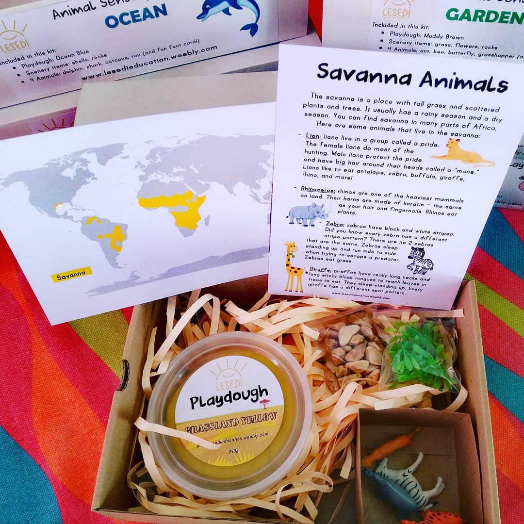 Our animal sensory play... - Lesedi Educational Materials | Facebook