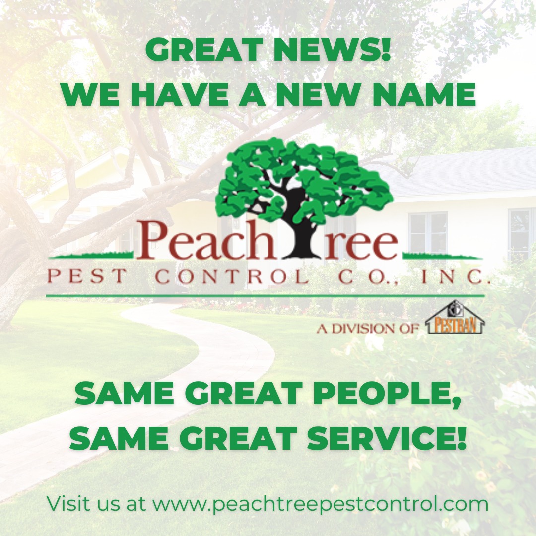 Sitemapcdatahttpabckniqoocomecoshield Pest Solutions Peachtree Corners Reviews