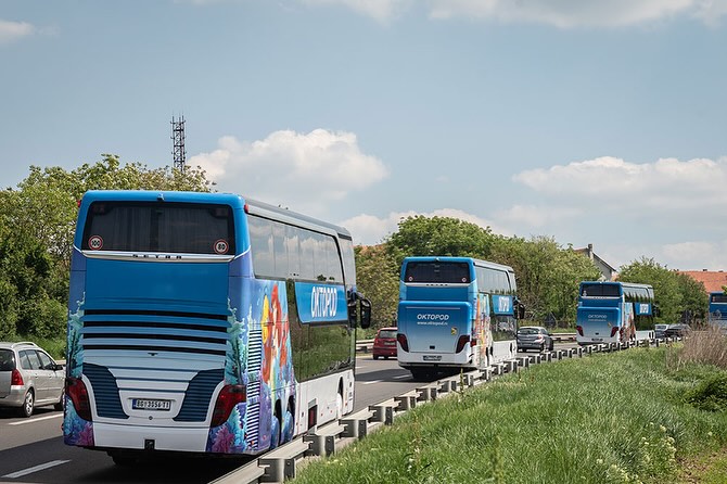 Oktopod Travel... - Oktopod Travel Turistička agencija