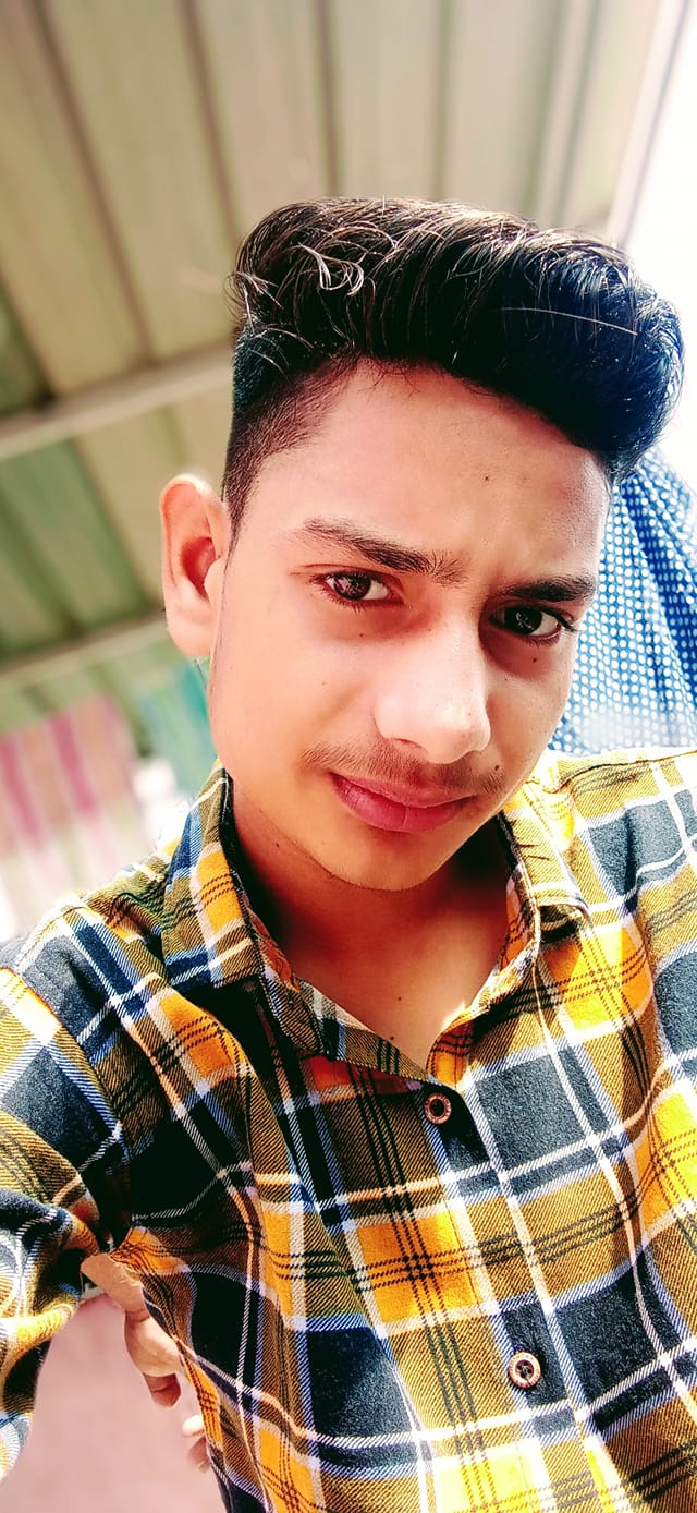 Raj Roy