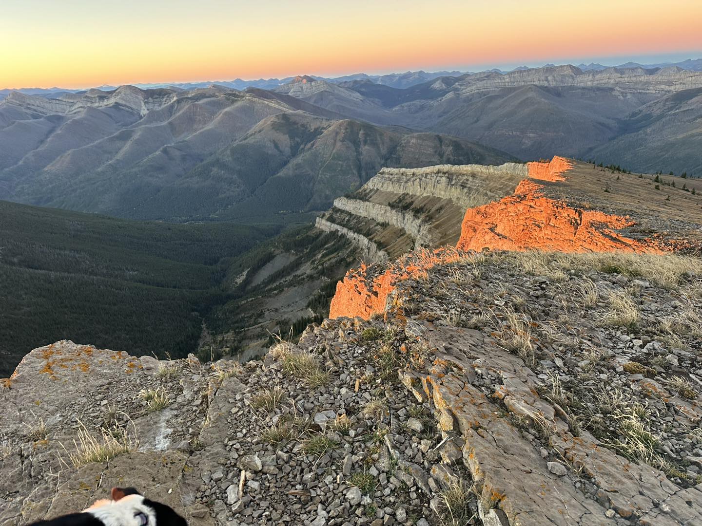 U.S. Forest Service Lookouts | #lookoutjob volunteer opportunity | Facebook