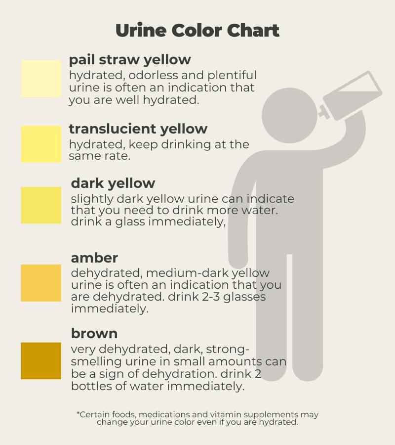 urine color after vitamin b12 injection can change Ever wondered why your pee turns neon yellow taking B vitamins?, You're not alone. 🧡 Watch to find out why!, Have additional questions? Comment pink urine after vitamin b12