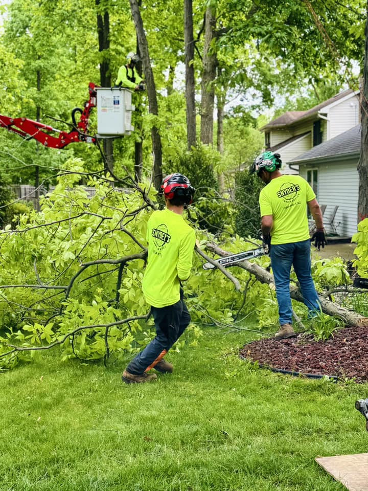 Snyder’s Tree Service LLC | Fort Wayne IN