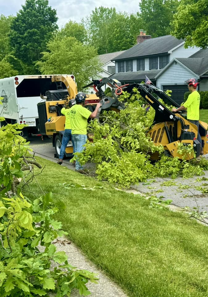 Snyder’s Tree Service LLC | Fort Wayne IN
