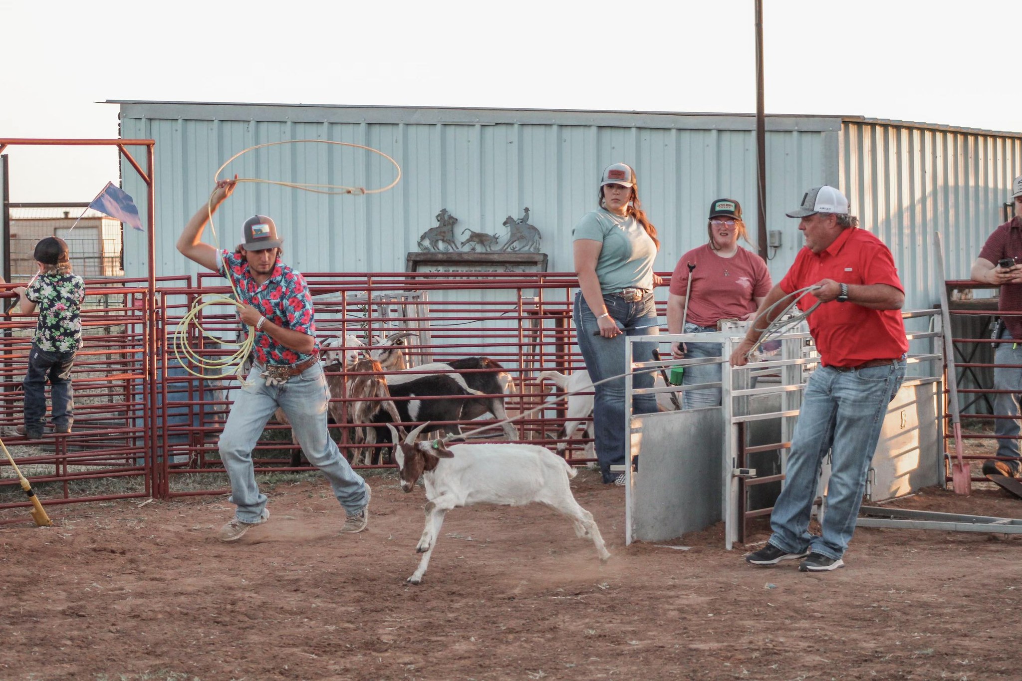 WB Goat Roping | Midland TX