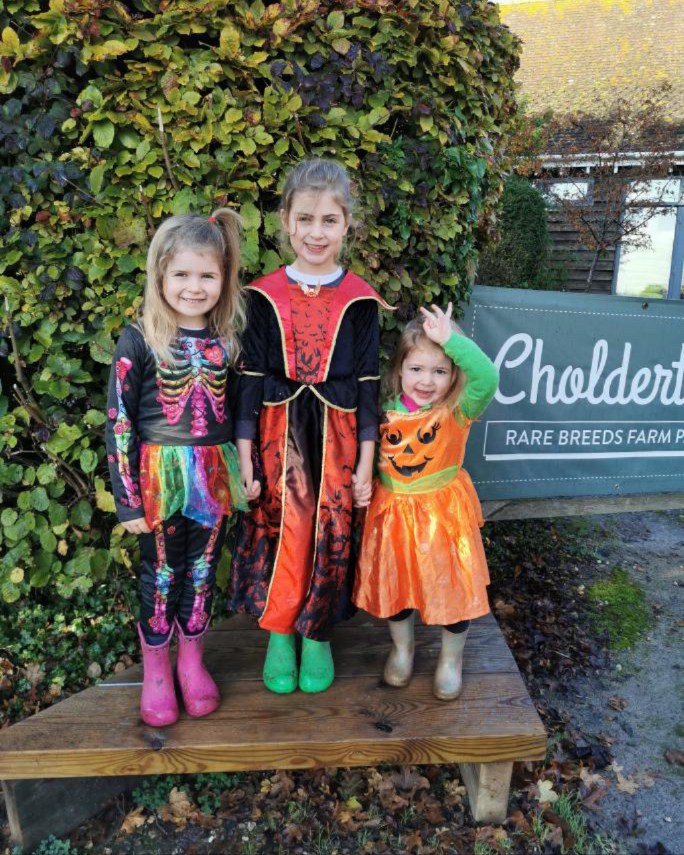 Cholderton Rare Breeds Farm... - Cholderton Rare Breeds Farm
