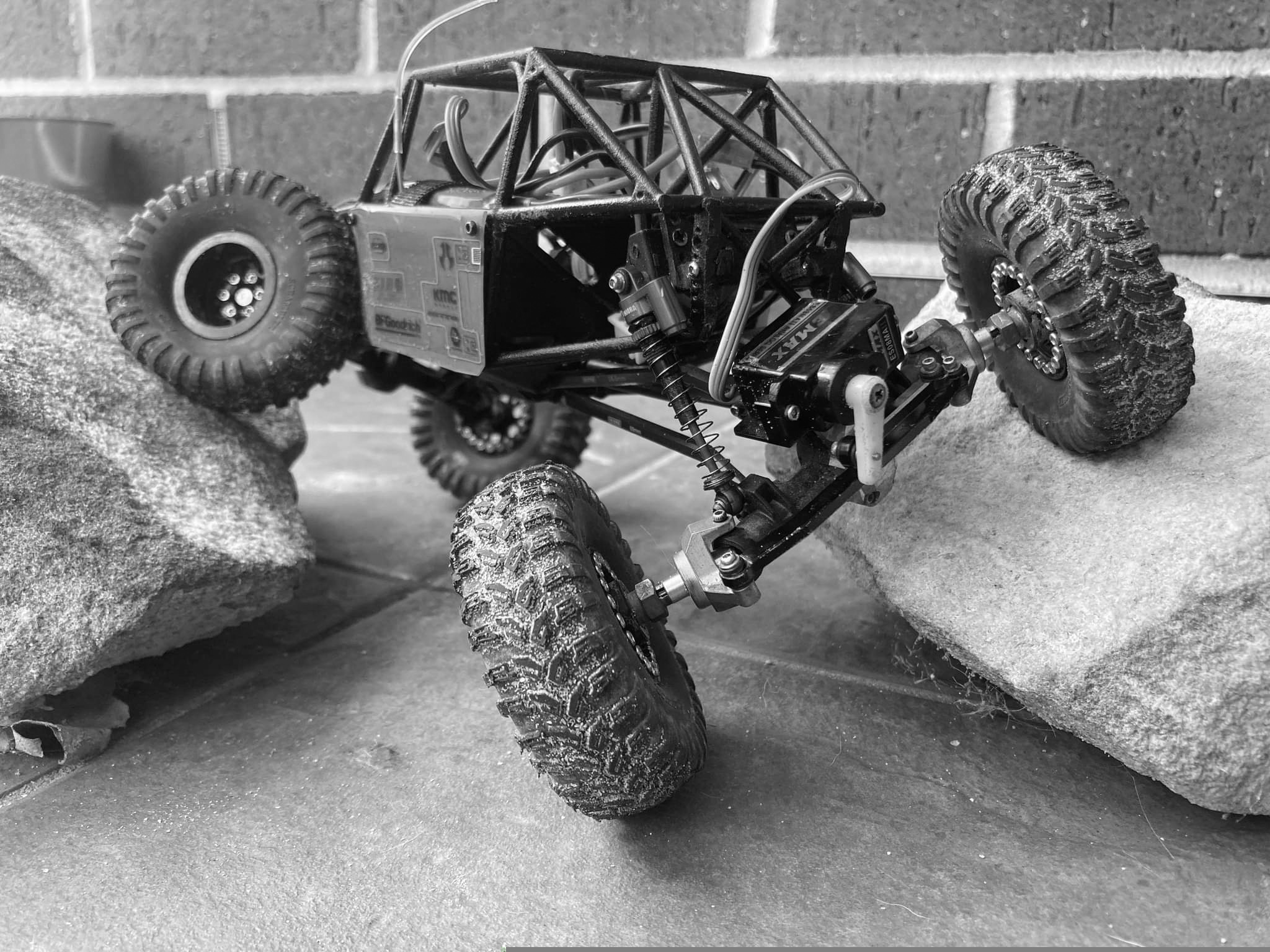 Venom Crawlers | Sydney NSW