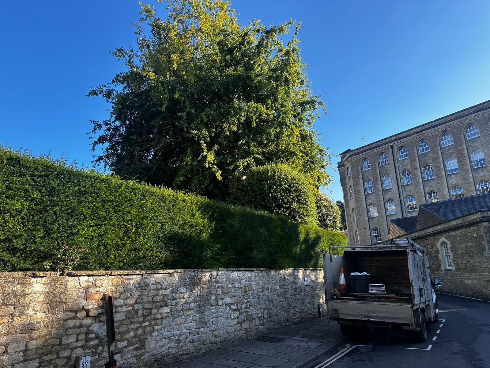 A F Harris Tree Services | Trowbridge