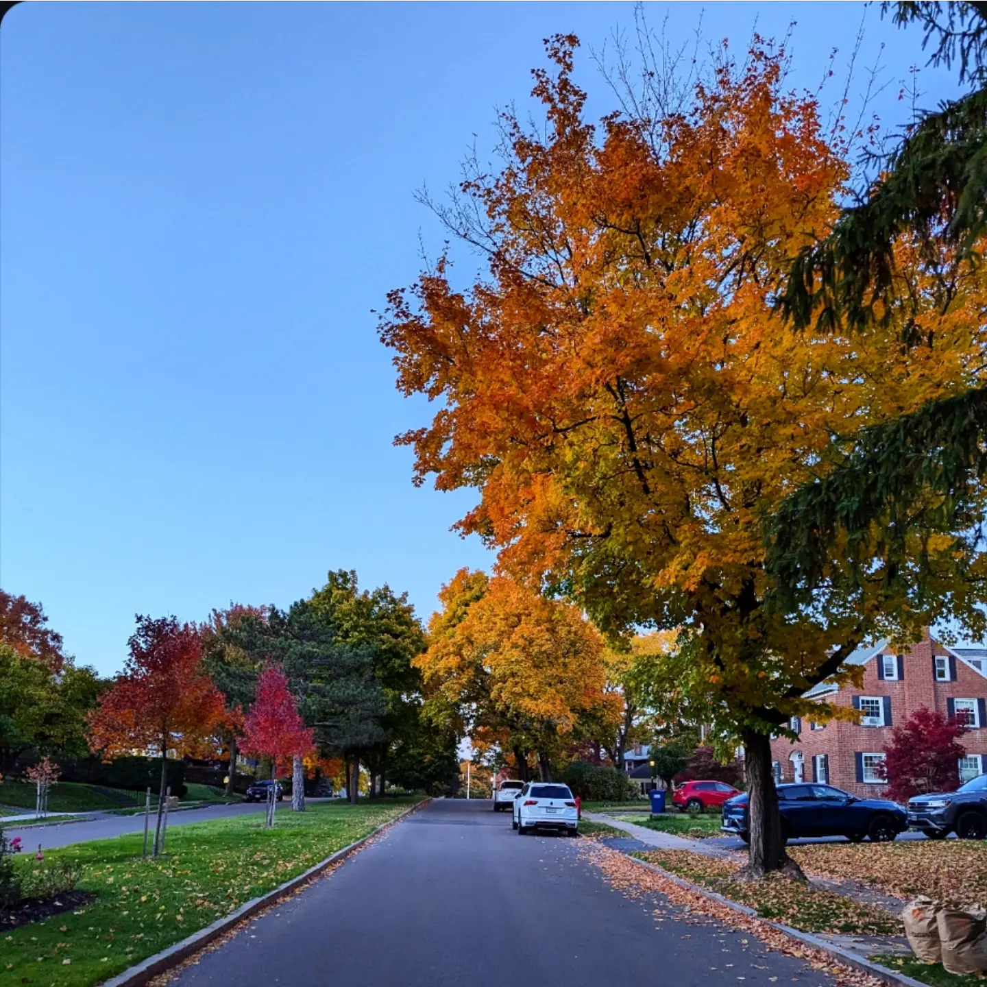 Normal to Nomad - Autumn. #autumnleaves #agameoftones...