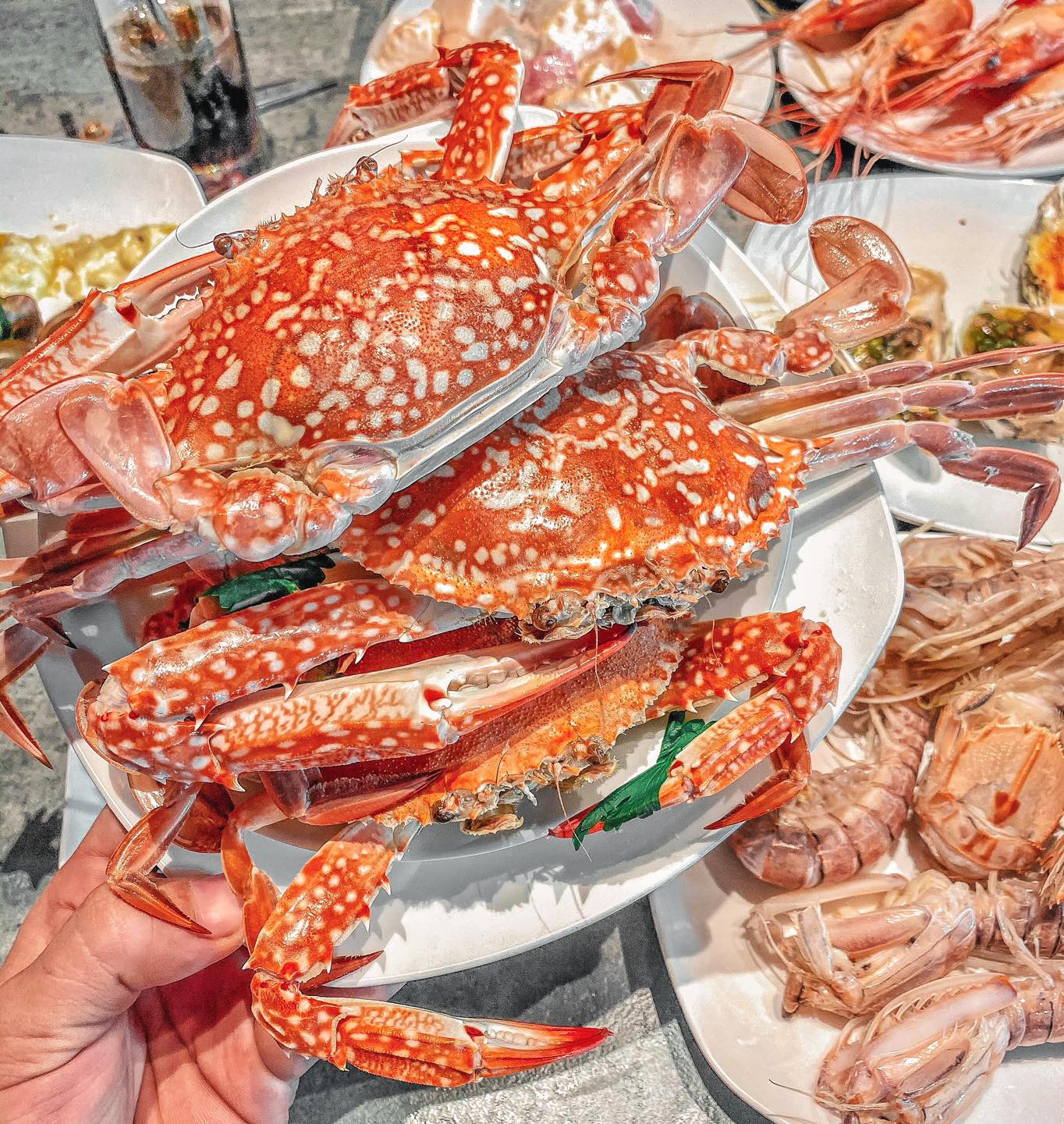 Buffet Hải Sản Cửu Vân Long... - Buffet Hải Sản Cửu Vân Long