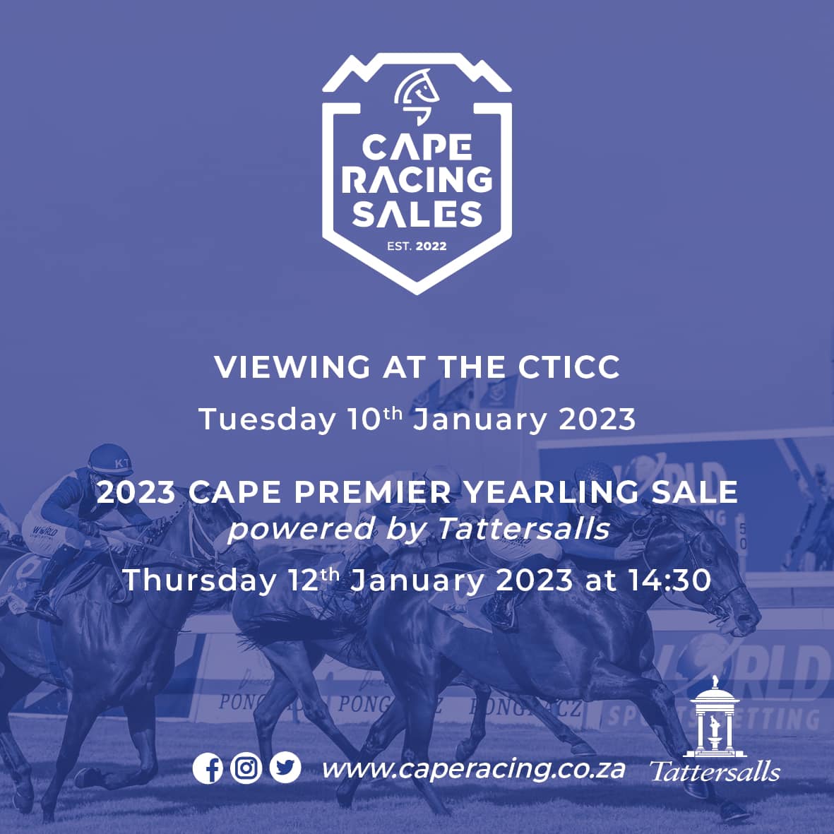 Cape Racing - Details for the upcoming Cape Premier...