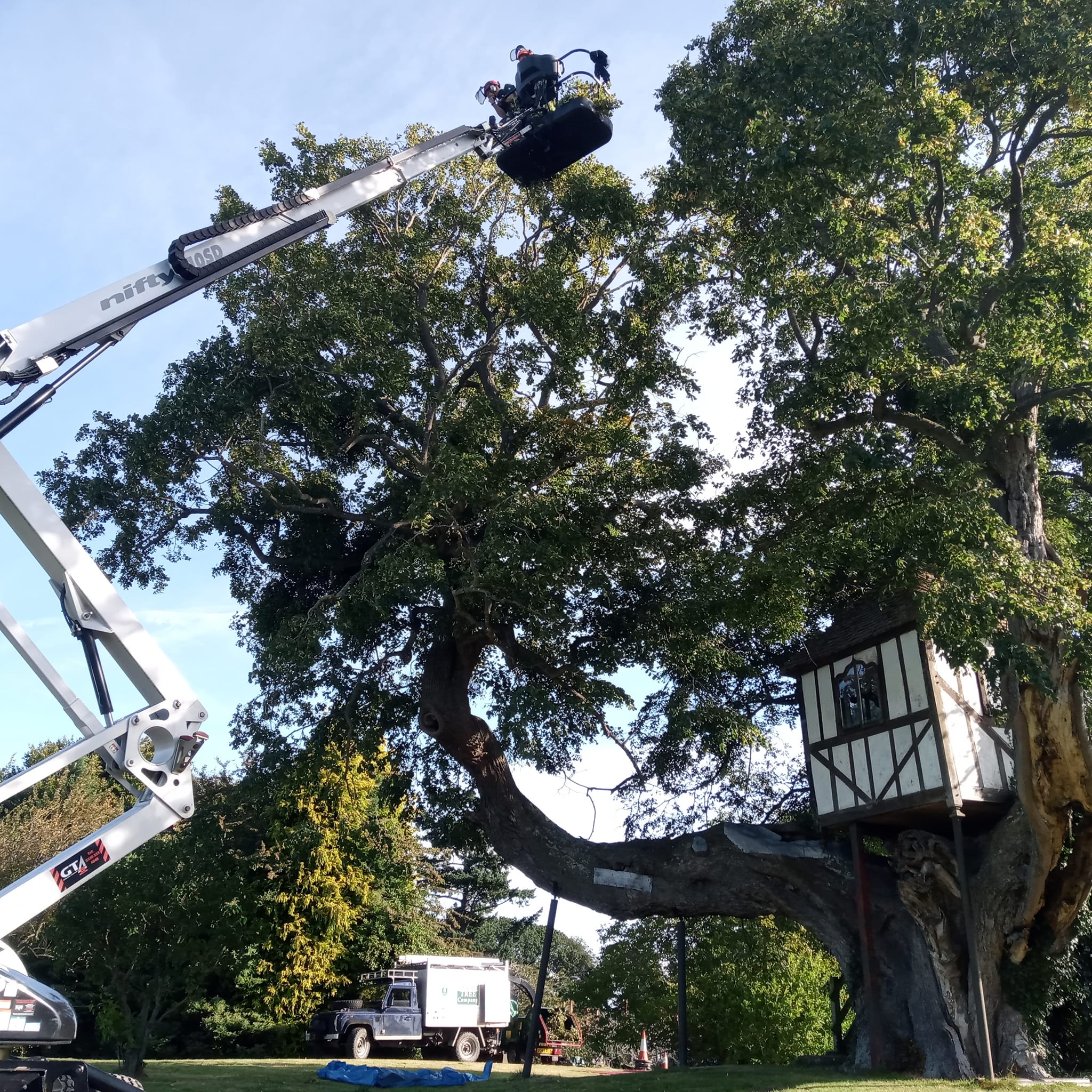 The Good Tree Company | Shrewsbury