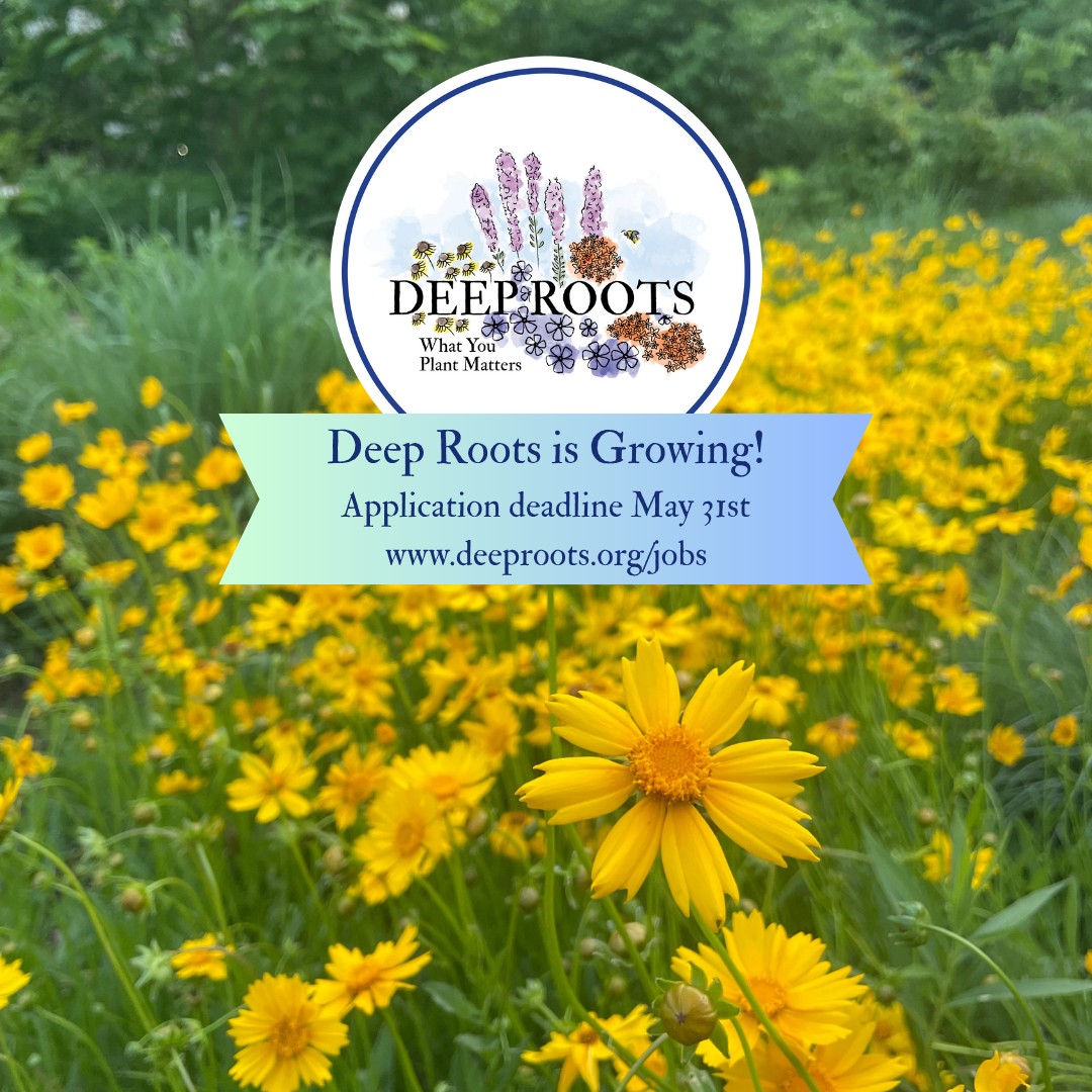 Deep Roots KC - 🌱 We're Hiring at Deep Roots! 🌱 Are you... | Facebook