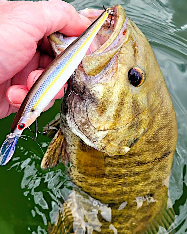 baby yoda fishing lure Beaver XL Style_Streamers 1920 shakespeare fishing reel Colors:Matte Black ensuring long