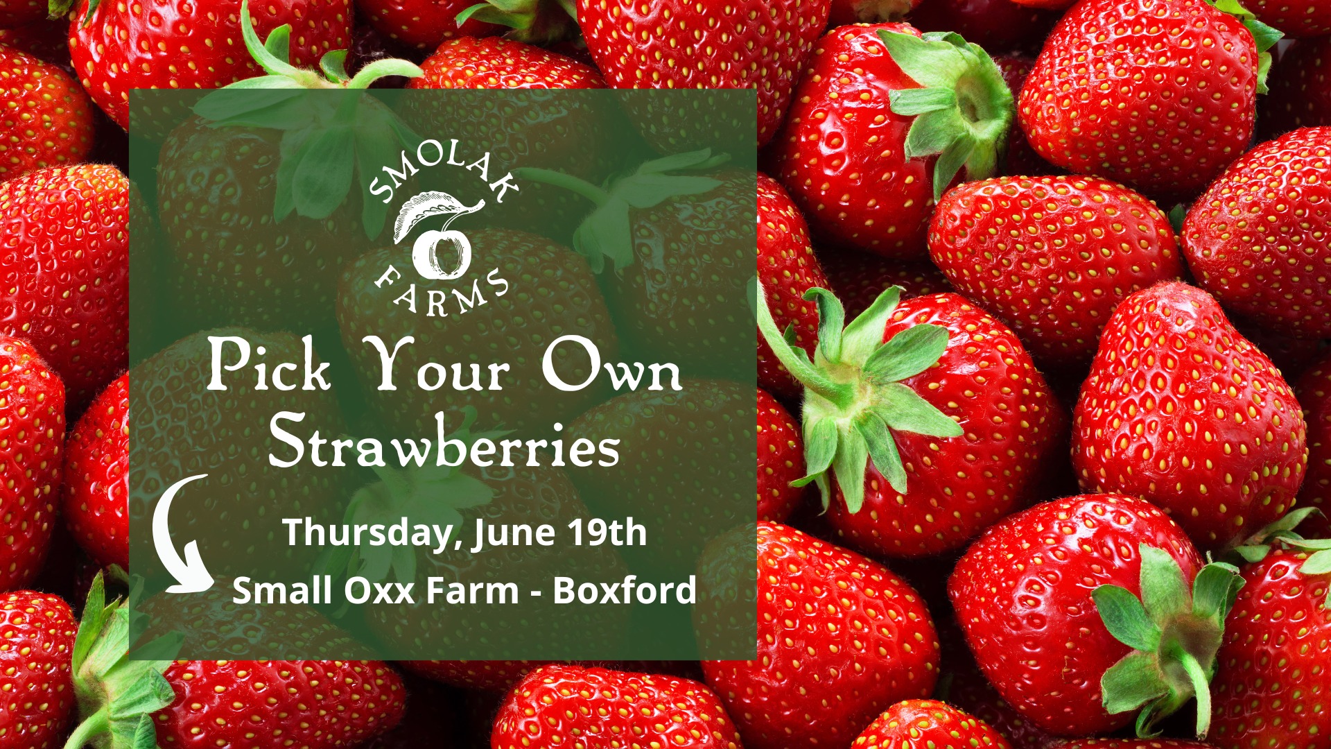 Smolak Farms | North Andover MA