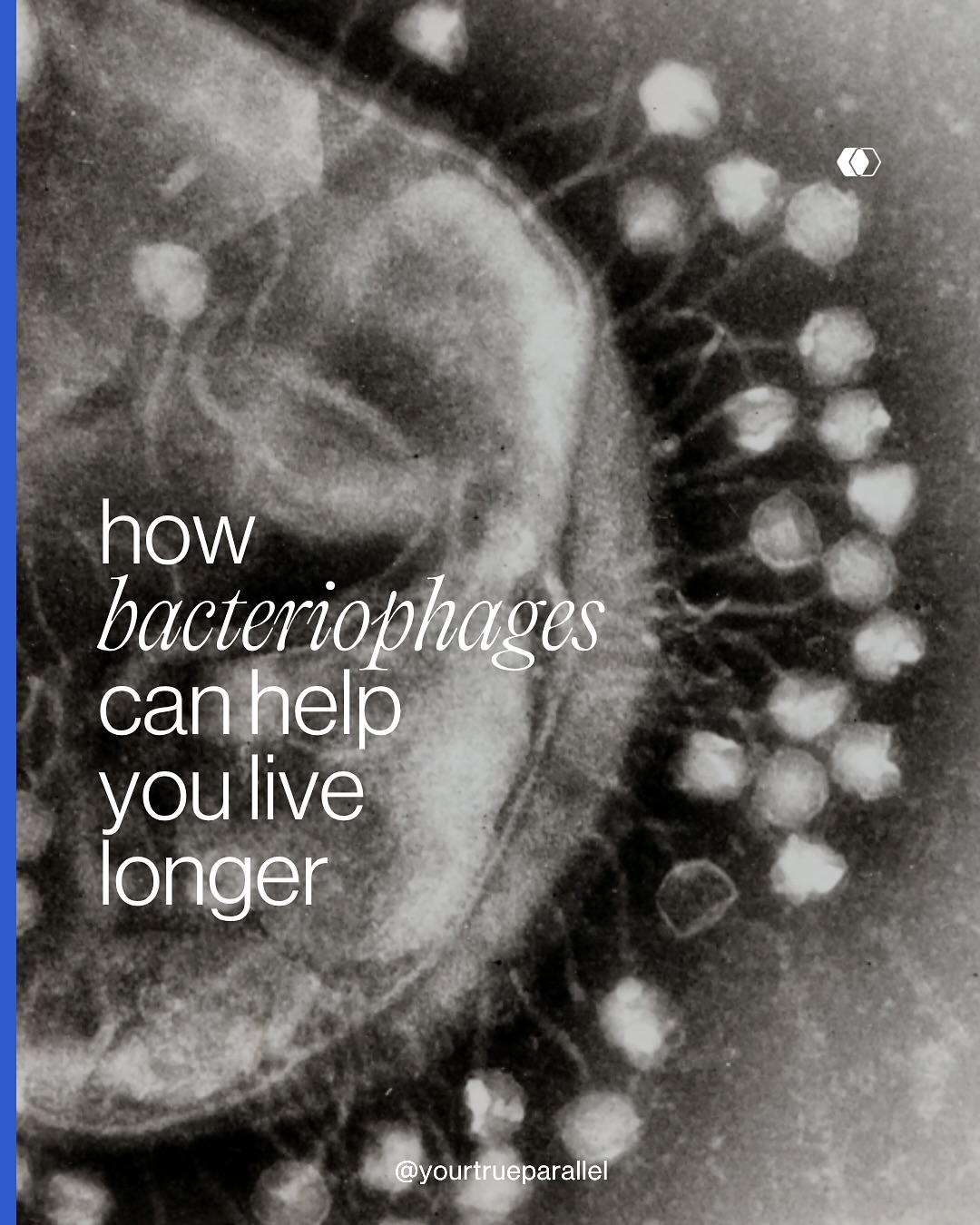 Parallel Health - The future of longevity isn’t just about... | Facebook