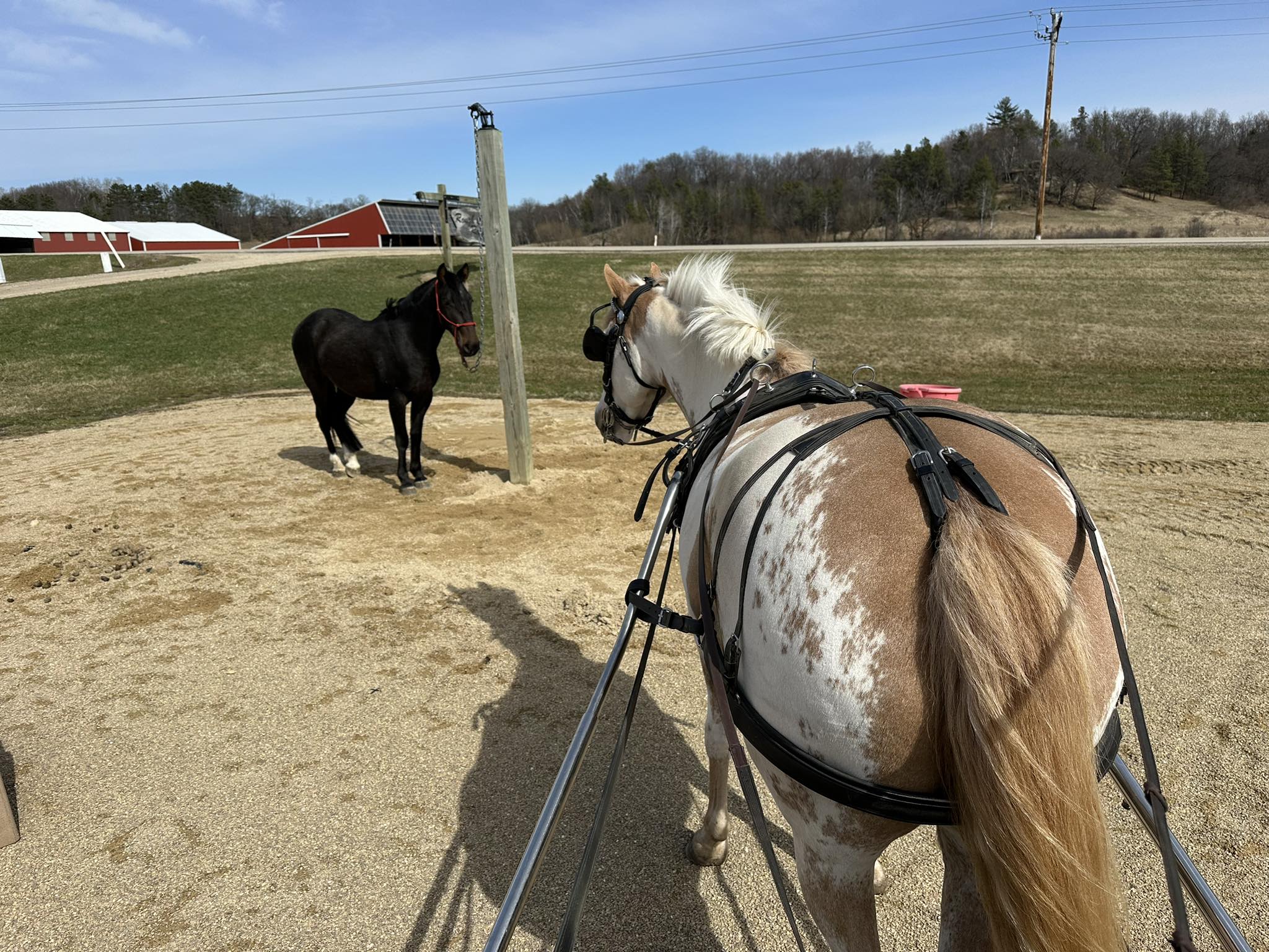 Rough Cut Ranch | Reedsburg WI