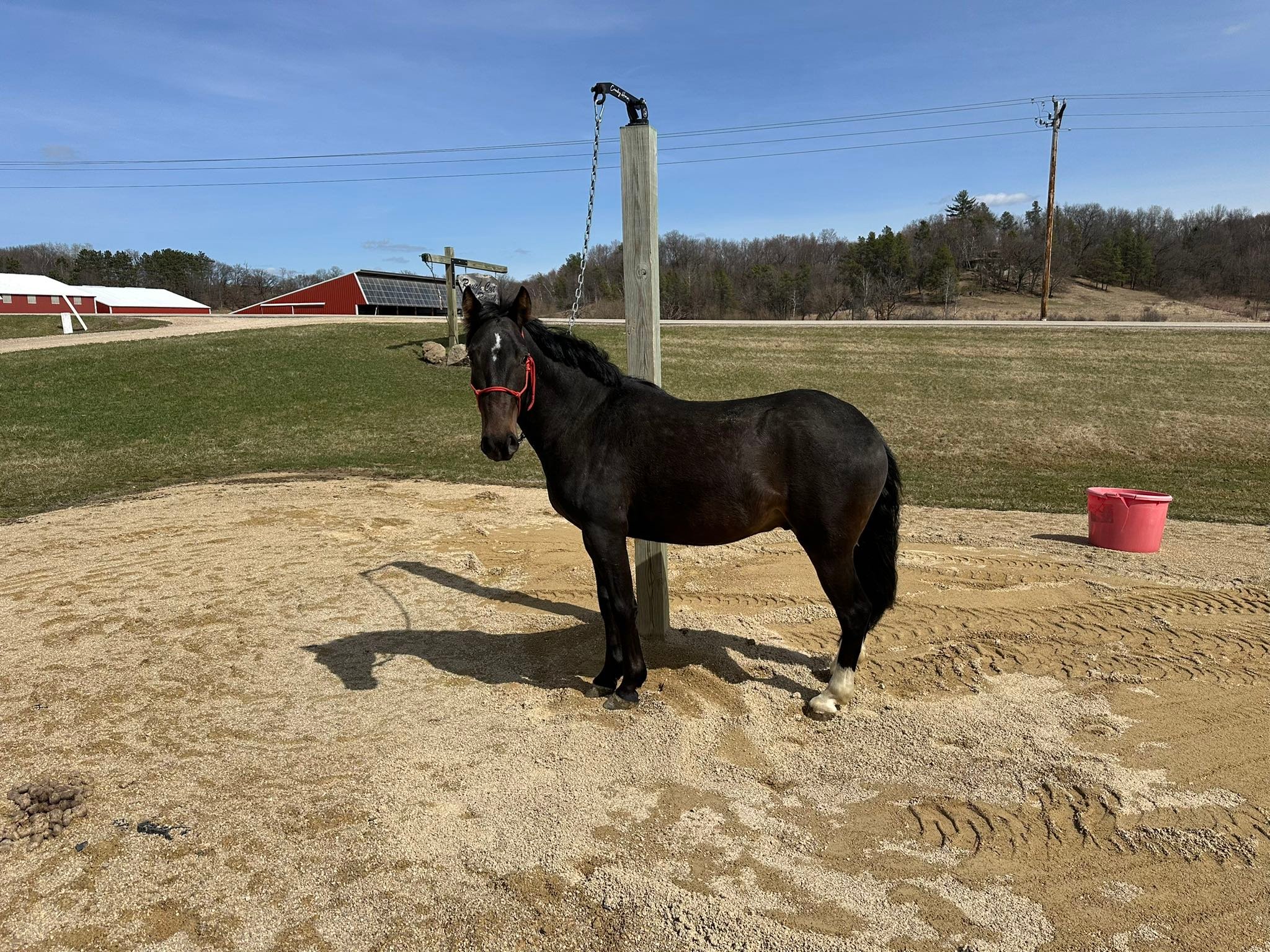 Rough Cut Ranch | Reedsburg WI