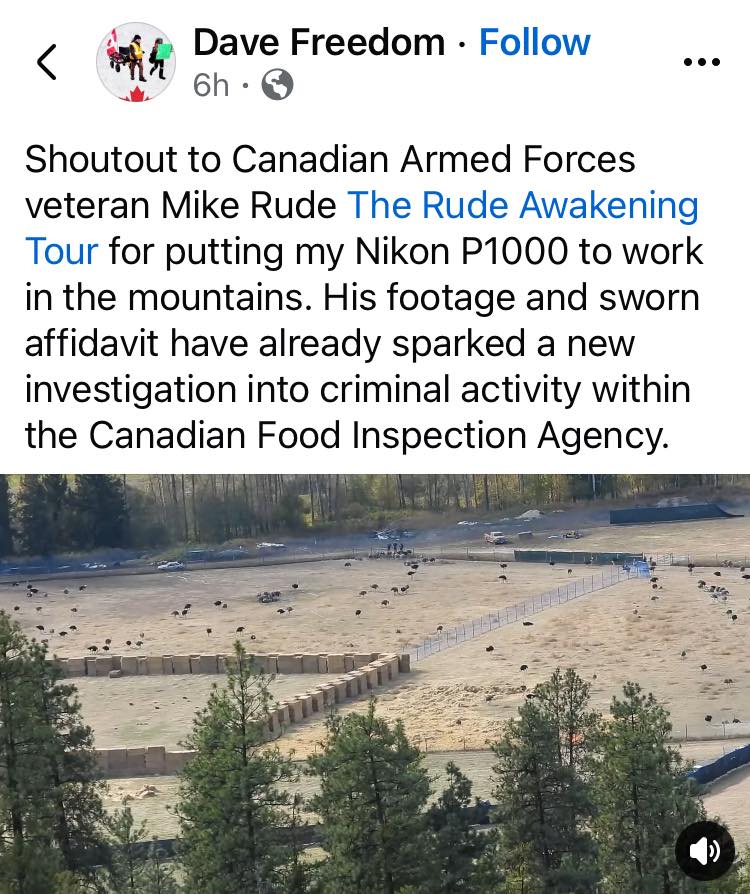 BC Horse Angels - BC Horse Angels added a new photo.