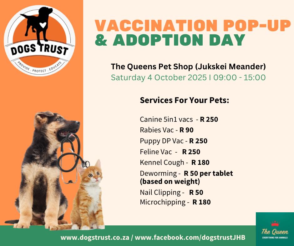 The Dogs Trust - 🐾 ADOPTION POP UP & VACCINE DAY 💉 Take... | Facebook