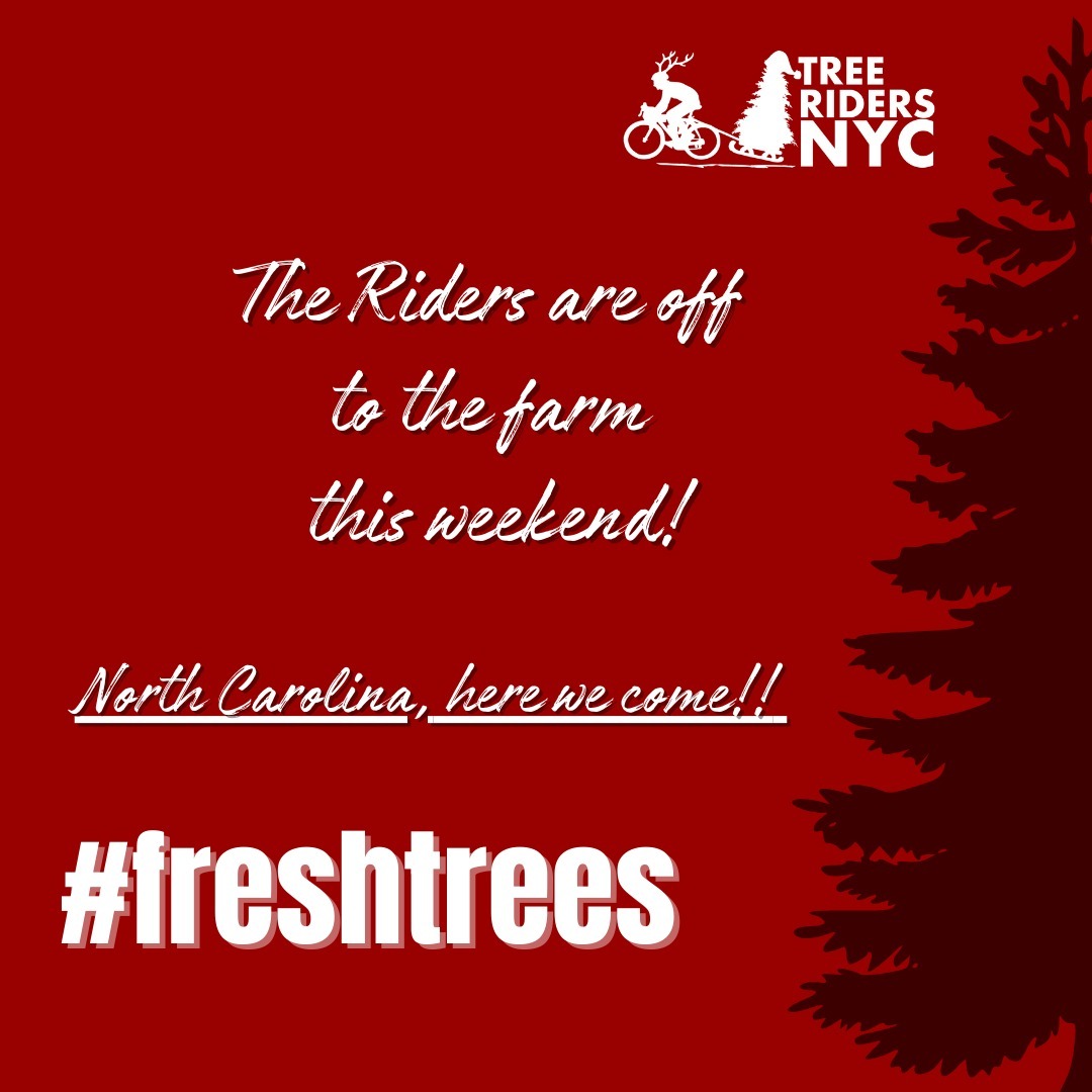 Tree - Every year, the Tree Riders drive right to the source, shaking ...