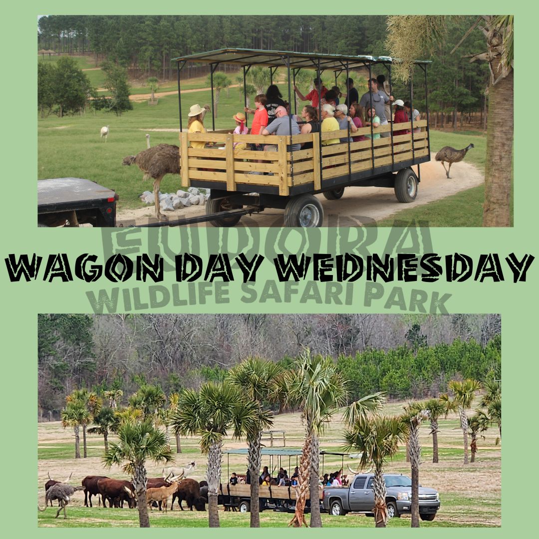 Eudora Wildlife Safari Park | Salley SC