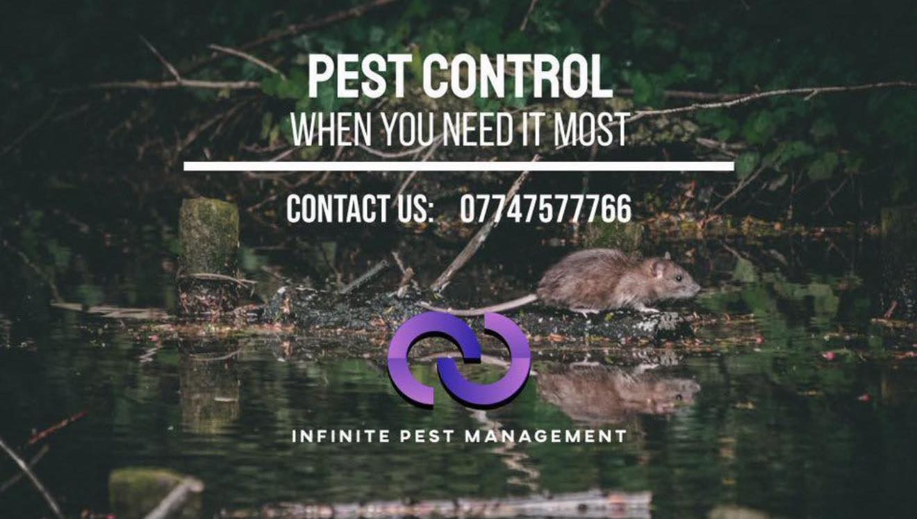 Infinite Pest Management | Birmingham