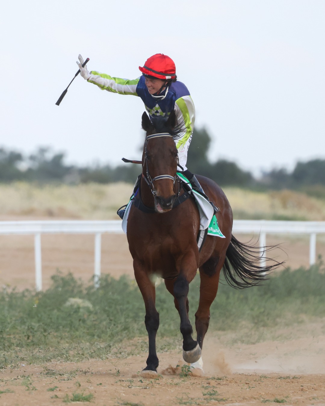 It’s a week until they’re off and... - Birdsville Races | Facebook