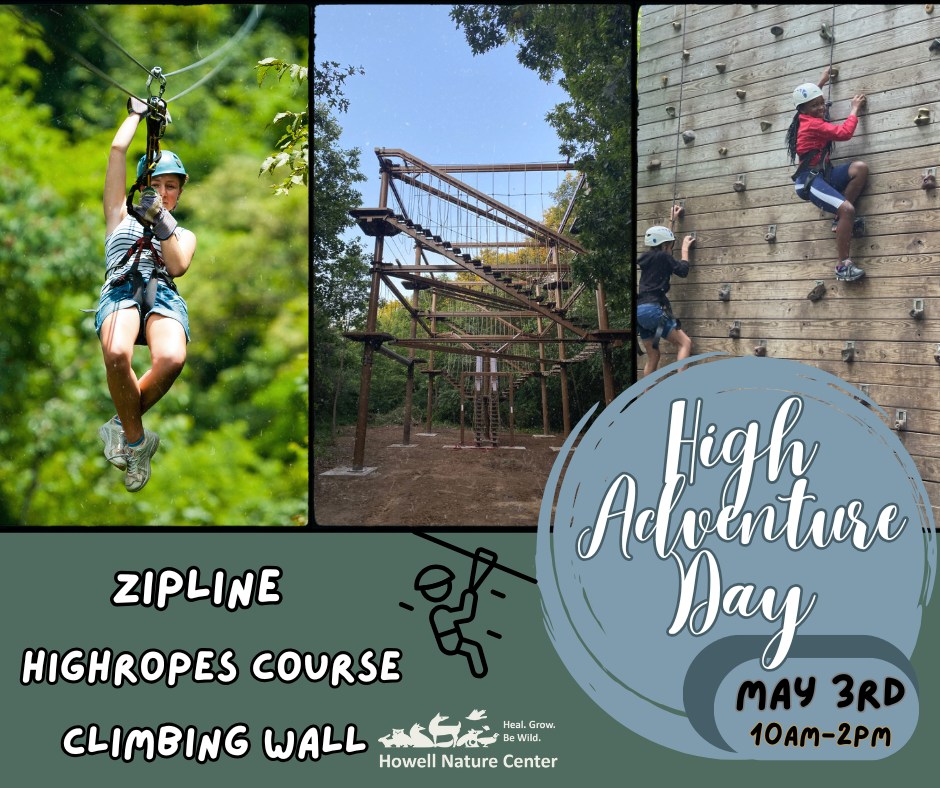 Howell - zipline, highropes course or climb which will you choose?? 🧗‍♀ ...