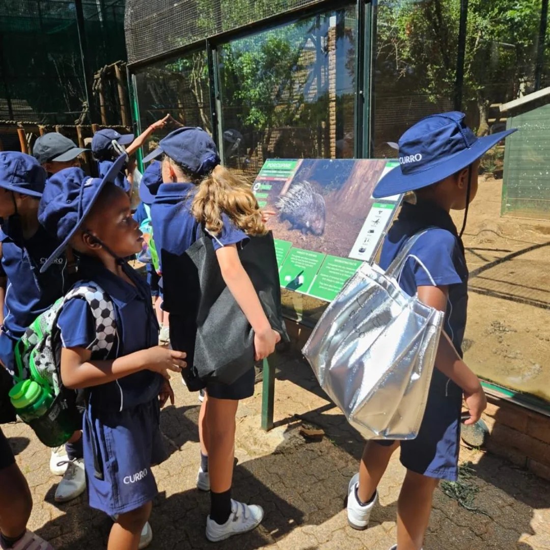 Curro Edenvale - Our Grade 1s recently went to the... | Facebook